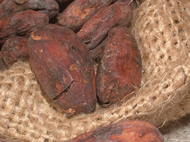 cacao-beans-91083_640